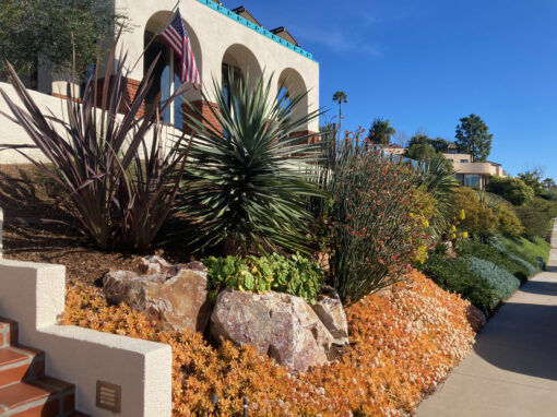 La Jolla Hillside